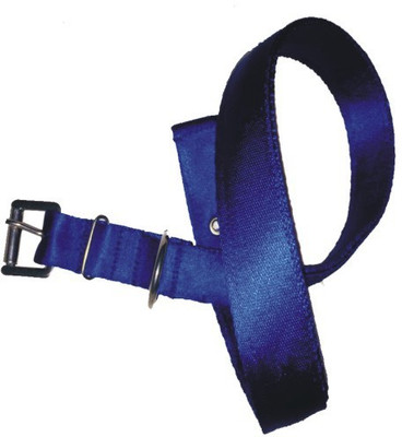 

PETS R KIDS Neck Collar Dog Everyday Collar(, Blue