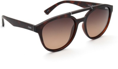 IDEE Round Sunglasses(For Men, Brown)