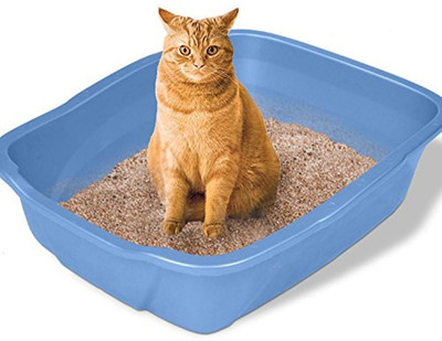 

SRI Lemon Flavor Cat Litter 10kg Pet Litter Tray Refill
