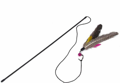 

Futurekart PS639 Plastic Chew Toy For Cat