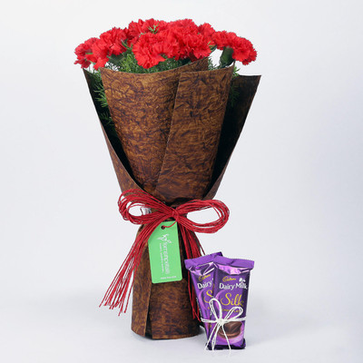 

Ferns N Petals 12 Red Carnations Bouquet & Dairy Milk Silk Combo Combo(550gms)