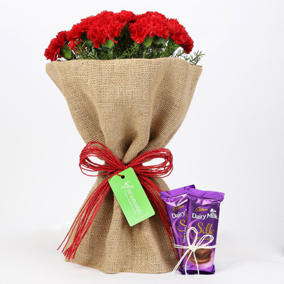 

Ferns N Petals Dairy Milk Silk & 12 Red Carnations Bouquet Combo Combo(550gms)