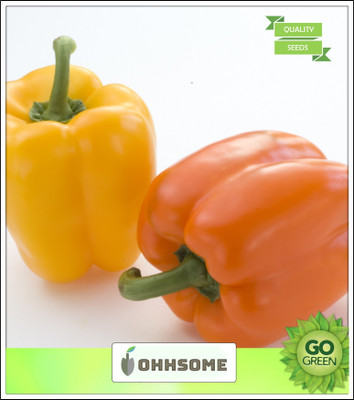 OhhSome Chilli Capsicum Seeds For Vegetables Seeds high quality seeds Seed(20 per packet)