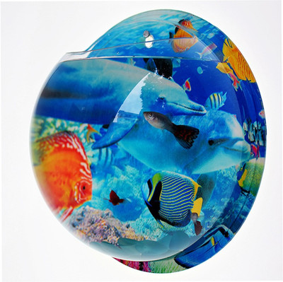

SRI Dolphin Background Acrylic Wall Aquarium with Stone and Fish Net for Fish and Plant Round Ends Aquarium Tank(4 L)