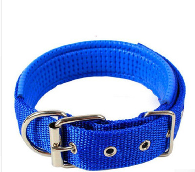 

101Lives Sturdy  blue collar Dog Everyday Collar(, BLUE
