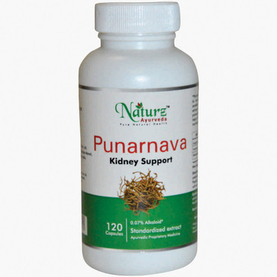 

Naturz Ayurveda Punarnava 350mg, 120 capsules (Pack of 5)(350 mg)