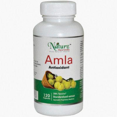 

Naturz Ayurveda Amla 120 Capsules - Pack of 10(425 mg)