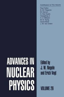 Advances in Nuclear Physics(English, Electronic book text, unknown)