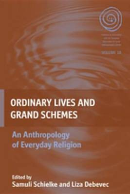 Ordinary Lives and Grand Schemes(English, Electronic book text, unknown)