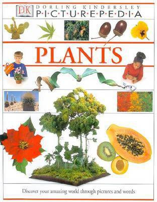Picturepedia (revised):15 Plants(English, Hardcover, DK)