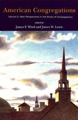American Congregations: New Perspectives in the Study of Congregations v. 2(English, Paperback, unknown)