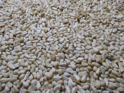 

AlfaMax Safflower seed for budgies, Cocktails, Finches, Conures, Parrots, and other birds. Model NO -BCPF0073 Nuts 1 kg Dry Bird Food