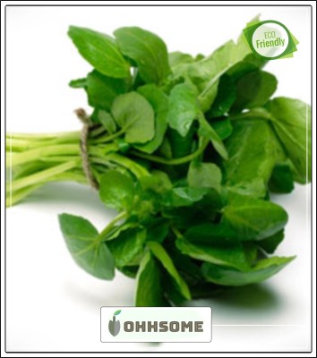 OhhSome Herb Plants Seeds - Watercress - Glossy Green Kitchen Garden Pack Seed(20 per packet)