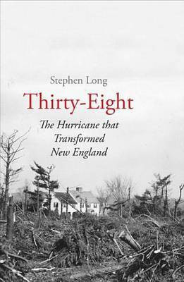 Thirty-Eight(English, Electronic book text, Long Stephen)