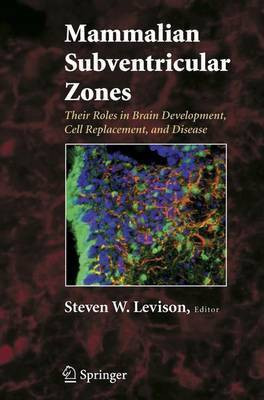 Mammalian Subventricular Zones(English, Electronic book text, Levison Steven W)