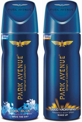 

Park Avenue goodmorning Body Spray - For Men(300 ml, Pack of 2)