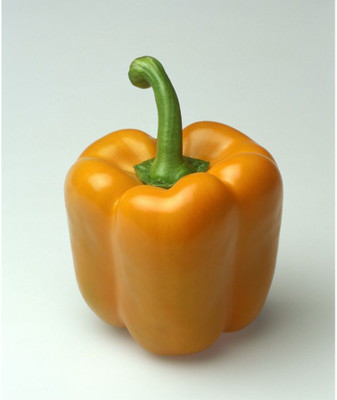 OhhSome Chilli Capsicum Seed(20 per packet)