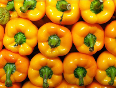 OhhSome Capsicum 3 colours Seed(20 per packet)