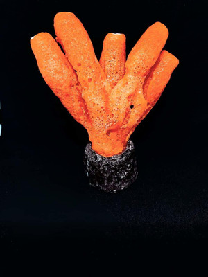 

SRI Artificial Glowing Effect Decorative Aquarium Ornament for Fish Tank (ORANGE) Aragonite Planted Substrate(Red)