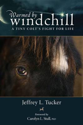 Warmed by Windchill(English, Electronic book text, Tucker Jeffrey L)