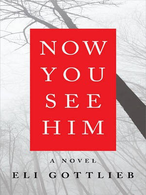 Now You See Him(English, Electronic book text, Gottlieb Eli)
