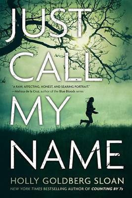Just Call My Name(English, Electronic book text, Goldberg Sloan Holly)