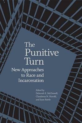 The Punitive Turn(English, Electronic book text, unknown)