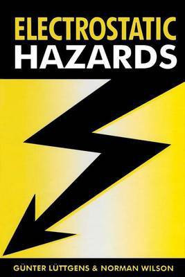 Electrostatic Hazards(English, Electronic book text, Dr Luttgens Gunter)
