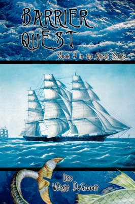 Barrier Quest(English, Paperback, Degroodt Lisa Wright)