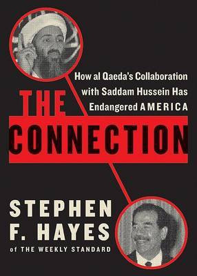 Connection(English, Hardcover, Hayes Stephen)