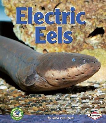 Electric Eels(English, Electronic book text, Van Dyck Sara)