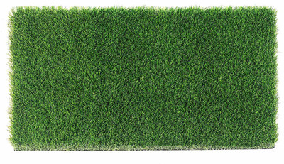 eleganzze PVC (Polyvinyl Chloride) Door Mat(Green, Free)