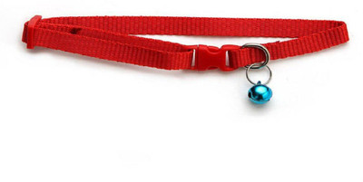 

ecocart Dog Collar & Chain(, Green