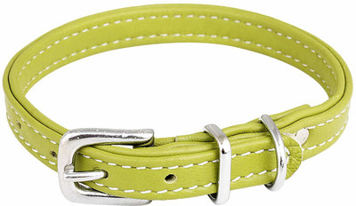 

SRI Imported Adjustable Puppy Collar - 1 cm Width Dog Everyday Collar(, green