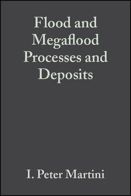 Flood and Megaflood Processes and Deposits(English, Paperback, unknown)