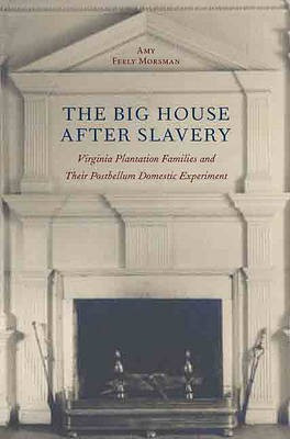 The Big House After Slavery(English, Electronic book text, Morsman Amy Feely)