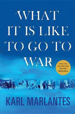 What It Is Like to Go to War(English, Electronic book text, Marlantes Karl)