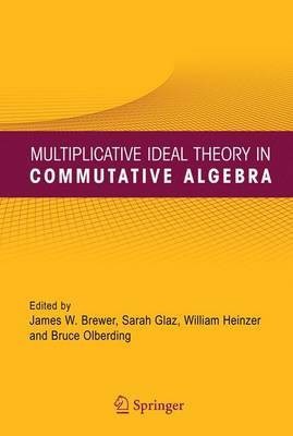 Multiplicative Ideal Theory in Commutative Algebra(English, Electronic book text, Brewer James W)