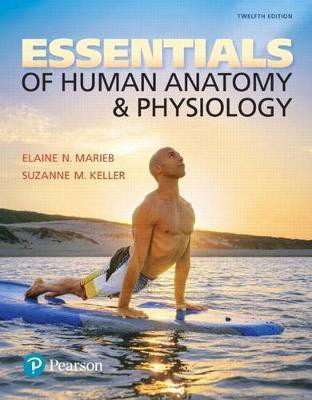 Essentials of Human Anatomy & Physiology Plus Mastering A&p with Pearson Etext -- Access Card Package(English, Mixed media product, Marieb Elaine)