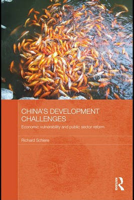 China's Development Challenges(English, Electronic book text, Schiere Richard)