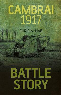 Battle Story Cambrai 1917(English, Electronic book text, McNab Chris)