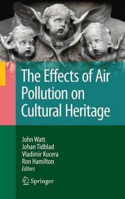 The Effects of Air Pollution on Cultural Heritage(English, Electronic book text, Watt John)