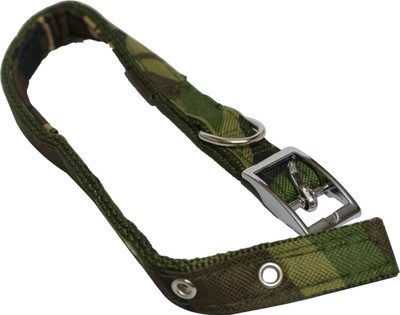 

bluerider Dog Collar & Leash(, Multicolor