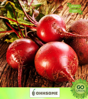 OhhSome Vegetable Seeds Open Pollinated Beetroot Seeds - Beet Root ​Seeds V1 Var Biennial Plant Home Garden Seeds Seed(20 per packet)