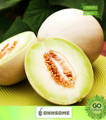 OhhSome Vegetable Seeds Sugar Melon Seeds - Muskmelon Seeds Exotic Seeds For Garden Home Garden Seeds Seed(20 per packet)