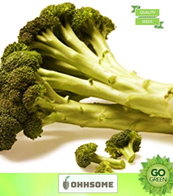 OhhSome Vegetable Seeds Brassica Crops Seeds - Broccoli ​Seeds Seeds Exotic Home Garden Seeds Seed(20 per packet)