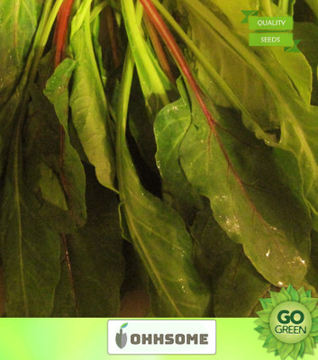 OhhSome Vegetable Seeds Palak Seeds For Gardening Seeds - Indian Spinach Seeds Seeds For Summer Home Garden Seeds Seed(20 per packet)