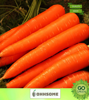 OhhSome Vegetable Seeds High Quality Carrot Seeds (Mixed Colour V1 Seeds) Seeds - Carrot Seeds Suitable For Grow Bag Home Garden Seeds Seed(20 per packet)