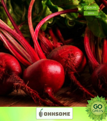 OhhSome Vegetable Seeds Beetroot/Chukandar Seeds - Beet Root ​Seeds Home Garden Seeds Seed(20 per packet)