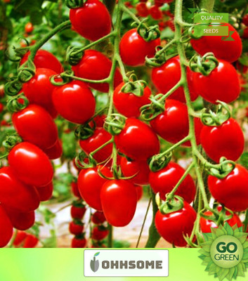 OhhSome Vegetable Seeds Grape-Sized Tomatoes Seeds - Cherry Tomato ​Seeds Seeds For Summer Home Garden Seeds Seed(20 per packet)
